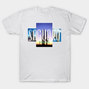 Saguaro National Park T-Shirt